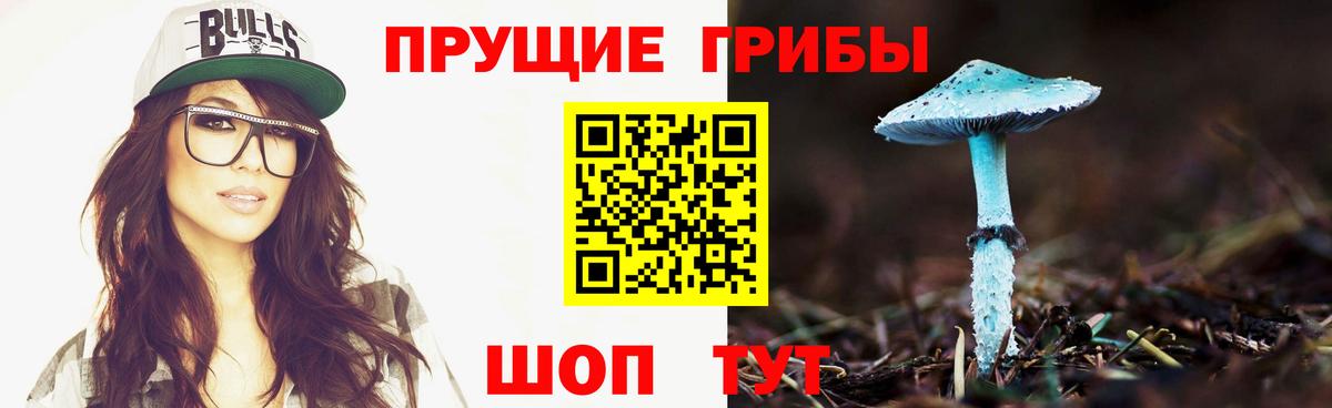 Нижневартовск  Псилоцибиновые грибы Cubensis  Вход с VPN  Галлюциногенные грибы Psilocybe 